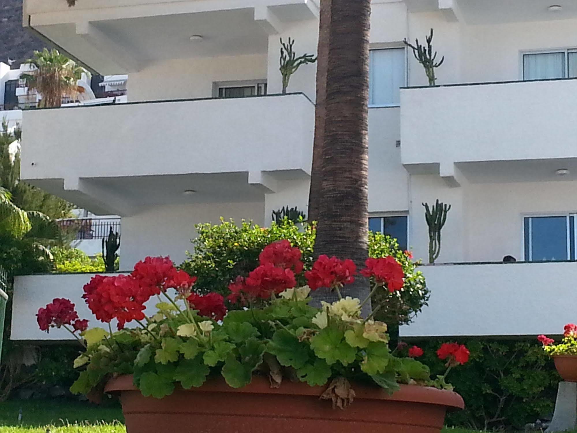 Apartamentos El Sombrero Acantilado de los Gigantes Luaran gambar